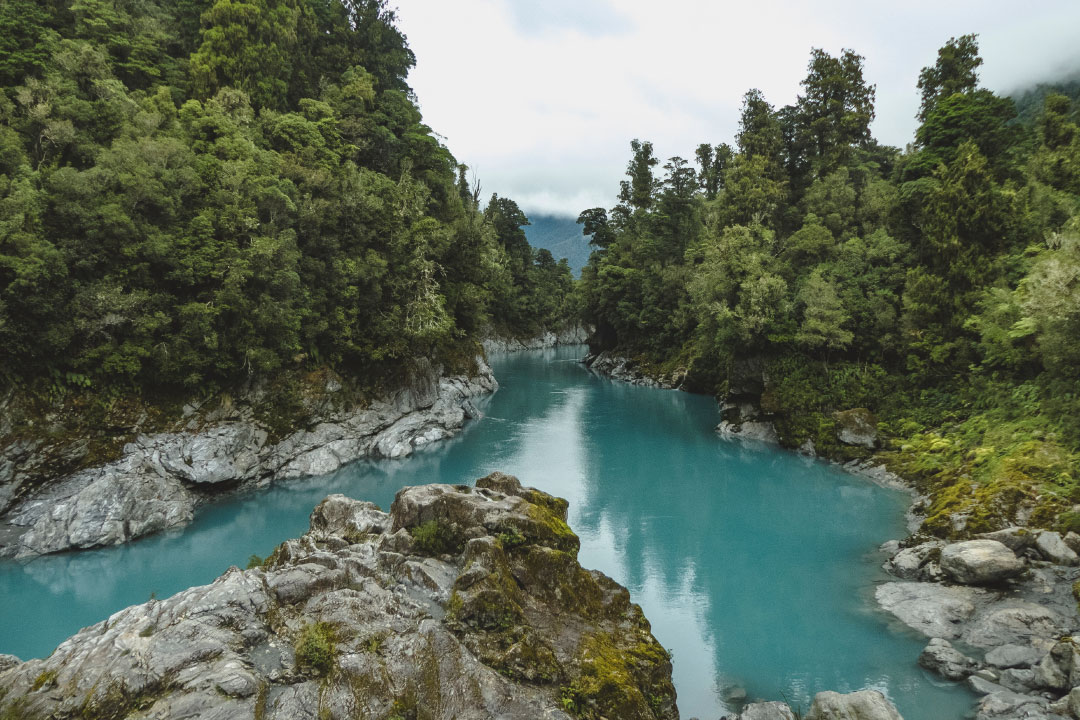 The Art of Acquiring Lucrative Investments: A Masterclass in Buying Investment Property in New Zealand